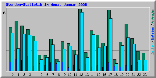 Stunden-Statistik im Monat Januar 2026