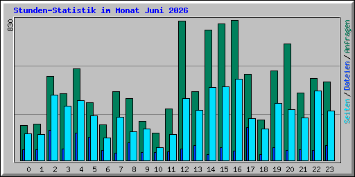 Stunden-Statistik im Monat Juni 2026